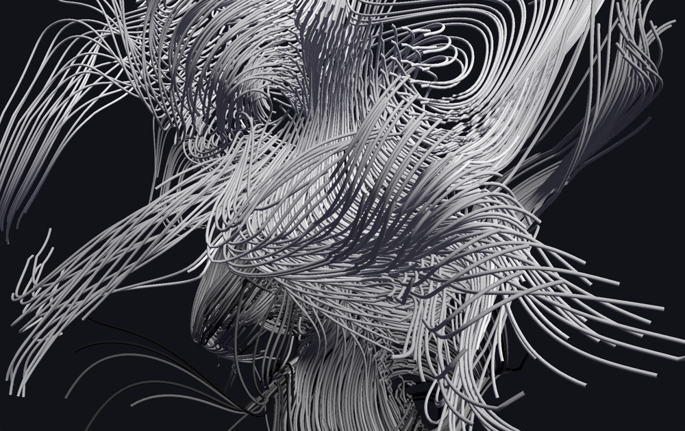 A complex spiraling shape made of white strands